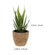 thumbnail image 2 of 4 unids Simulación Planta Decoración creativa Artificial Mini Bonsai Home Desktop Decor, 2 of 7