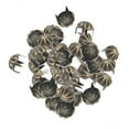 thumbnail image 1 of jifeng 5x50pcs Pumpkin Studs Metal Claw Nailhead Stud Rivet Spikes Bronze, 1 of 9