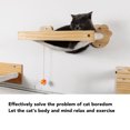 thumbnail image 3 of Wall Mounted Cat Hammocks,  Kitten Wall Bed with Secure Mount, Reduces Boredom and Promotes Exercise, 3 of 8