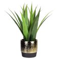 thumbnail image 1 of 17" Artificial Agave Succulent in a Golden Pot, 1 of 4