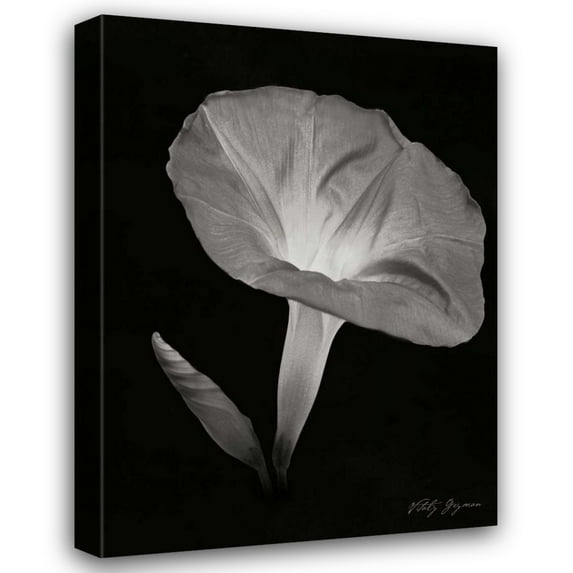 Vitaly Geyman 28x37 Gallery Wrapped Canvas Wall Art Titled - Morning Glory I