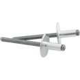 thumbnail image 1 of Allstar Performance ALL18141 Rivets en Aluminium à Grande Tête 0.13-0.25 Po, Argent - Lot de 250, 1 of 1