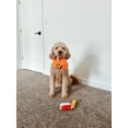thumbnail image 3 of Midlee Find a Toy Halloween Pumpkin Bucket Dog Toy, 3 of 7
