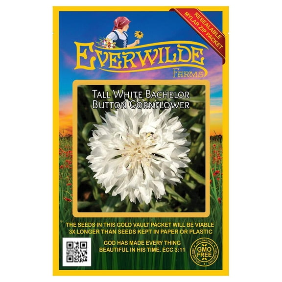 Everwilde Farms - 500 Tall White Bachelor Button Cornflower Garden Flower Seeds - Gold Vault Jumbo Bulk Seed Packet