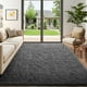 thumbnail image 1 of Area Rug Ophanie de felpa mullida, gris, 5 x 7 pulgadas, para sala de estar, 1 of 7