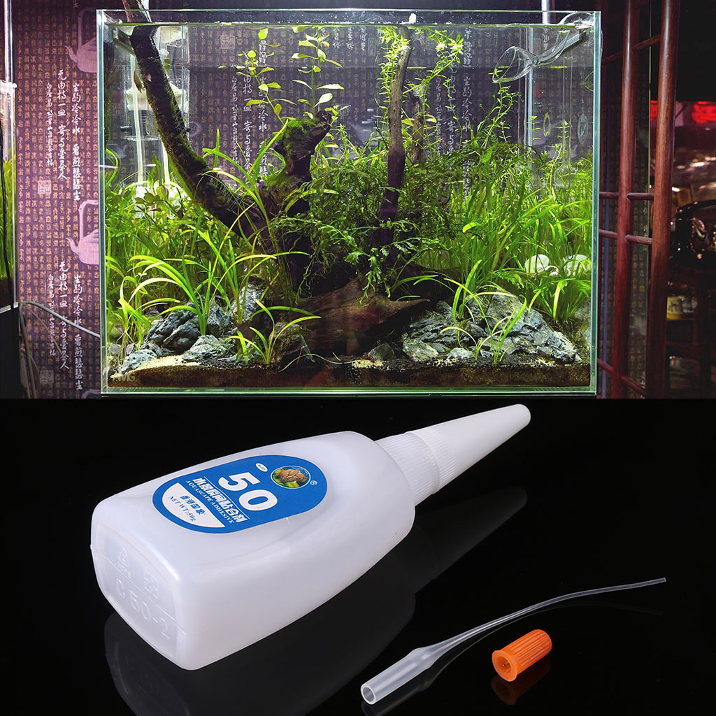 fish tank accessory glue Ankexin Aquarium Artificial Water Plants Coral Moss Micro Landscapee for Home Water for Plants Accessory : Pet Supplies Use super glue gel to easily attach java fern Aquarium Co-Op Super Glue Gel