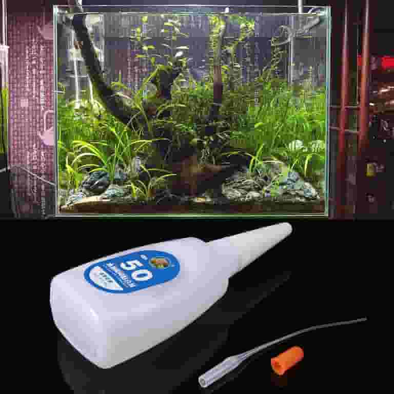 fish tank accessory glue Ankexin Aquarium Artificial Water Plants Coral Moss Micro Landscapee for Home Water for Plants Accessory : Pet Supplies Use super glue gel to easily attach java fern Aquarium Co-Op Super Glue Gel