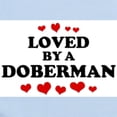 thumbnail image 2 of CafePress - Loved: Doberman Infant Bodysuit - Baby Light Bodysuit, Size Newborn - 24 Months, 2 of 4