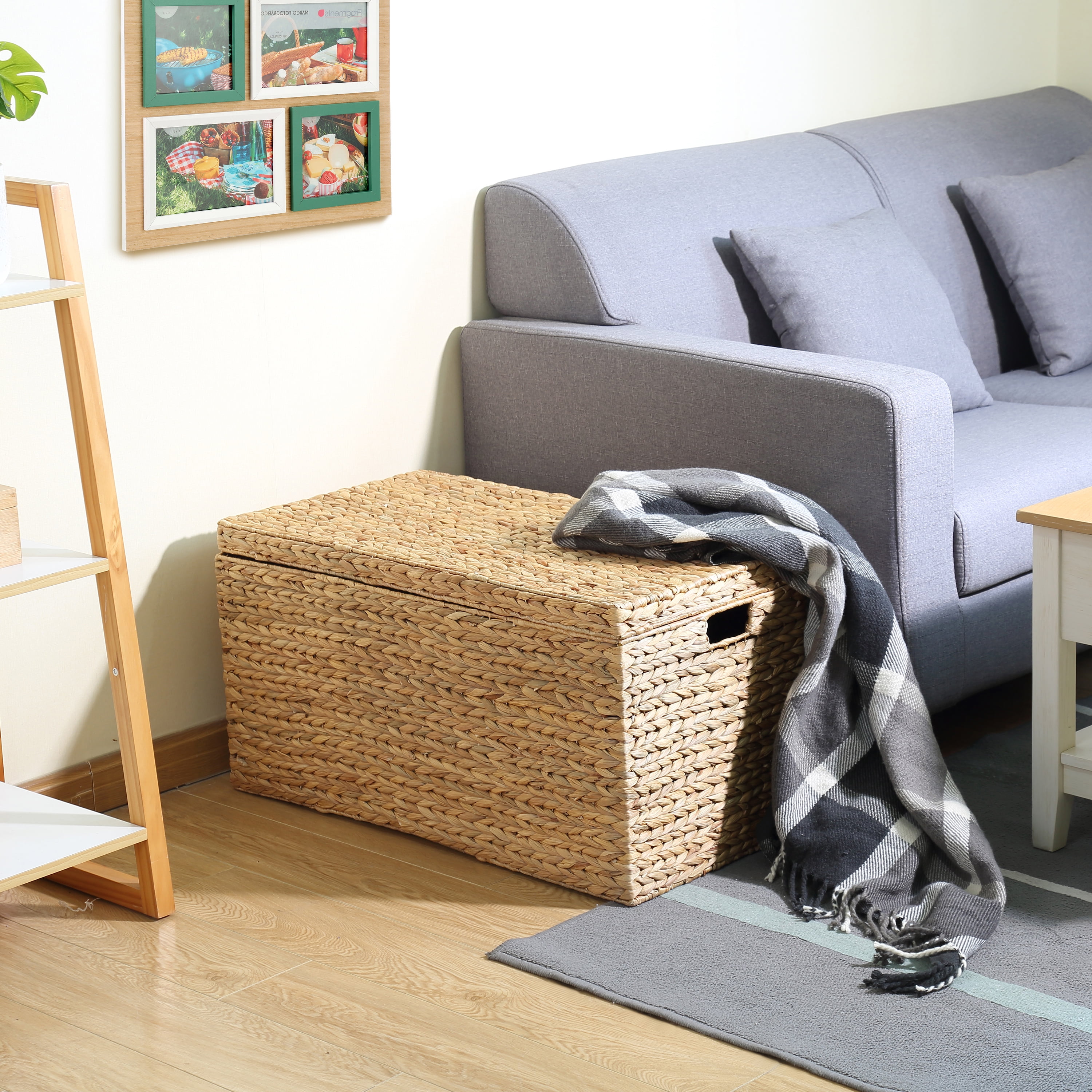 Better Homes & Gardens XL Hyacinth Storage Trunk