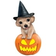 thumbnail image 3 of CafePress - PD Moreno's Halloween Puppy Infant T Shirt - Infant T-Shirt, 3 of 4