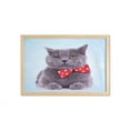 thumbnail image 1 of Cat Wall Art with Frame, Tuxedo Grey Scottish Fold Theme White Polka Dots Tie Bow Funny Illustration, Printed Fabric Poster for Bathroom Living Room, 35" x 23", Pale Blue Purpleblue, by Ambesonne, 1 of 2