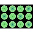 thumbnail image 2 of 12 Eye Glow in The Dark Super Bouncy Balls - Spooky Eyeball Novelty Party Favor Toy Halloween, ophthalmologist, Optometry Anatomy (1 Dozen), 2 of 7