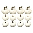 thumbnail image 4 of 12 Pcs Assorties Citrouille Blanche d'Automne pour Maison Festive et Table, 4 of 7