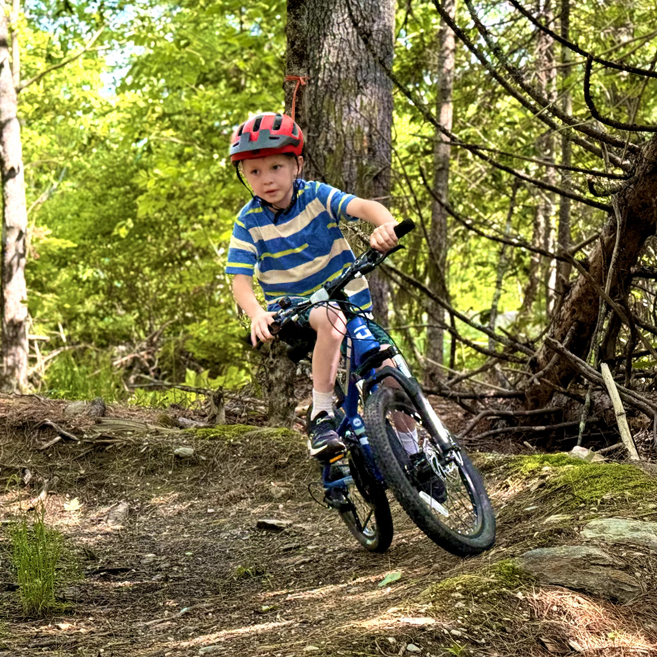 Glerc Skyline 20 Inch Kids Mountain Bike for Boys Girls 6 7 8 9 10