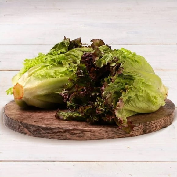 Lechuga morada por pieza