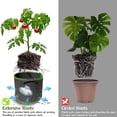 thumbnail image 3 of Bolsas de Cultivo, Bolsas para Plantas de jardín 5 * 10 galones/40 L Transpirables no Tejidas con Asas, 3 of 5