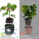 thumbnail image 3 of Bolsas De Cultivo, Bolsas Para Plantas De Jardín 5 * 5 Galones / 20L No Tejido Transpirable Con Asas, 3 of 5