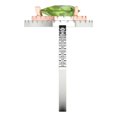 thumbnail image 3 of 2.48 ctw with Simulated Diamond Halo Accents Anniversary Ring for Women | Pear Cut Natural Peridot | Hyperallergenic Solid 18K White/Rose Gold, 3 of 5