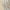 Beige, variant on Sweatshirt for Girls Clearance,Kids Sweatshirts Toddler Boys Girls Round Neck Long Sleeve Love Letter Printed Sweatshirt Casual Pullover Tops Winter Comforty Warm Jumpers Sweatshirt Age 1-12