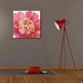 thumbnail image 6 of Epic Graffiti 'Pink Garden V' by Lisa Audit, Canvas Wall Art, 26"x26", 6 of 8