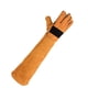 thumbnail image 2 of Guantes antiarañazos para manipuladores de mascotas, empleados de tiendas de mascotas y gatos. 60cm, 2 of 9