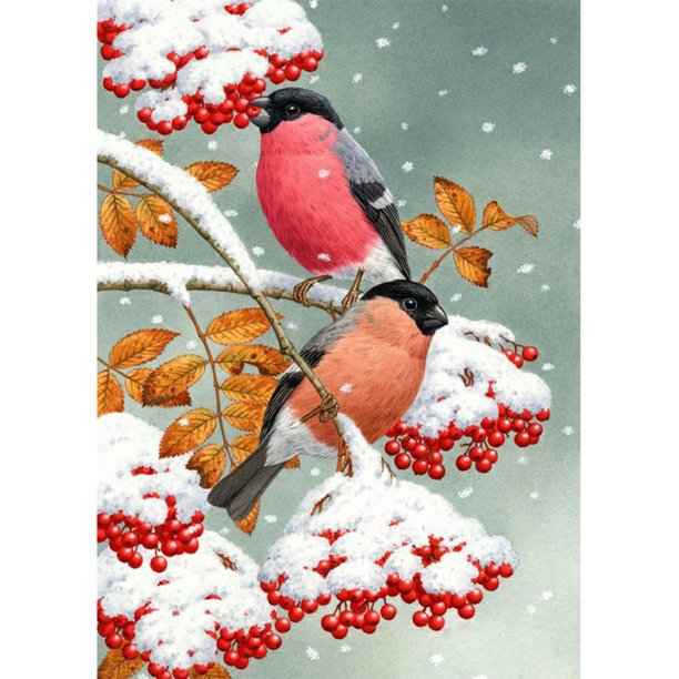 Diamond Painting (DE6608) 5D DIY Birds Square Rhinestone Drawing (FH507) 50x70cm Hugtrwg Para estrenar