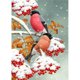 thumbnail image 1 of Diamond Painting (DE6608) 5D DIY Birds Square Rhinestone Drawing (FH507) 50x70cm Hugtrwg Para estrenar, 1 of 1