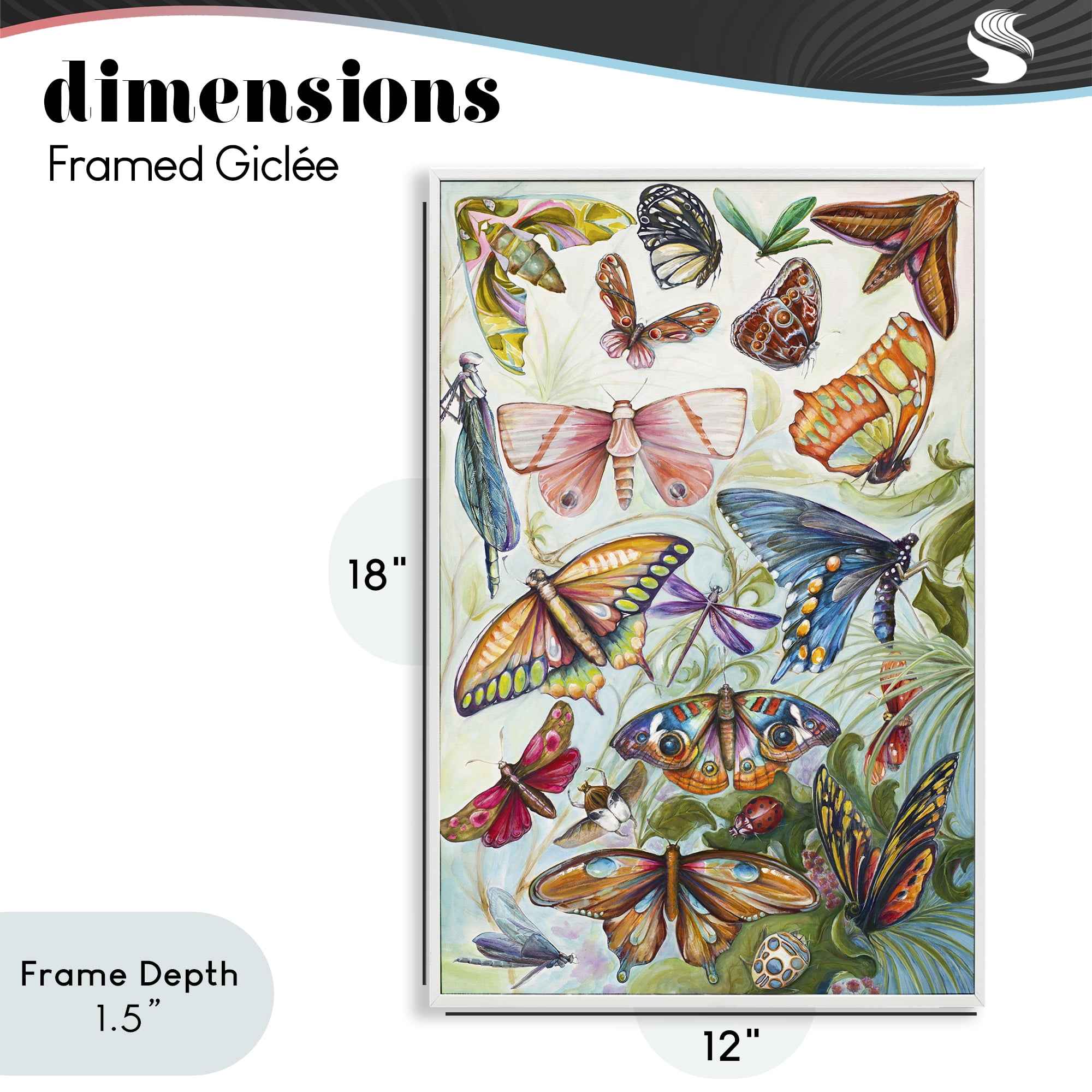 Stupell Industries Colorful Butterfly Conservatory White Framed Giclee Art, design by Diannart