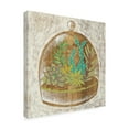 thumbnail image 2 of Trademark Fine Art 'Glass Garden I' Canvas Art by Chariklia Zarris, 2 of 4