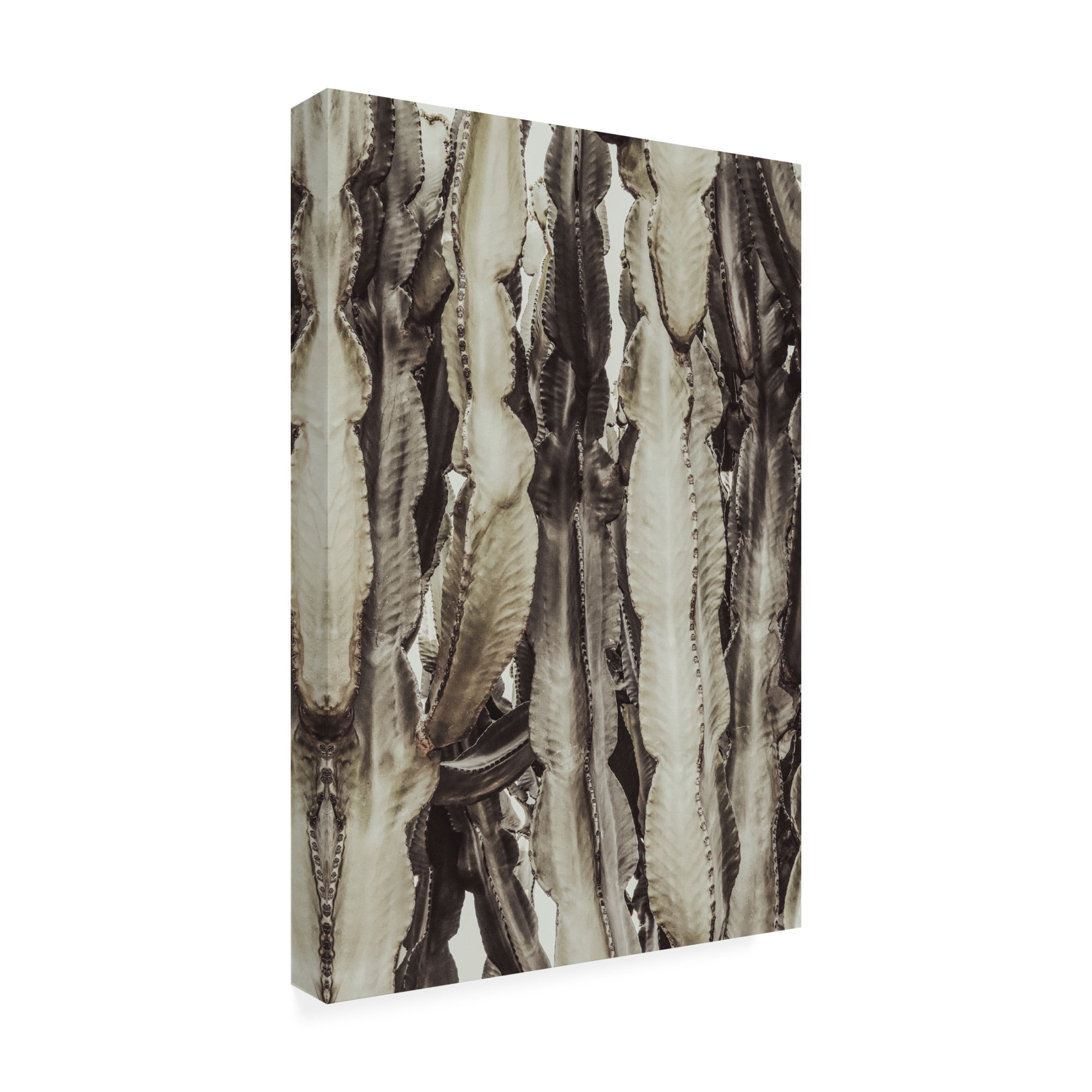 Trademark Fine Art Pictufy Studio Cactus Canvas Wall Art