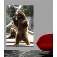 thumbnail image 2 of Wallhogs Bear I Wall Mural, 2 of 2