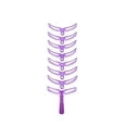 thumbnail image 1 of Kit Templat Shaping Eyebrow Stencil Styles Stencil Eyebrow DIY 8 Grooming Shapes Beauty Tools, 1 of 7