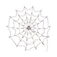 thumbnail image 4 of Zhourta Halloween Arachnid Web Lights 1M Diameter 60 LED With Black Spider, Water Proof Purple Net Lights, Remote Control, Halloween Decorations For House Garden, 4 of 7