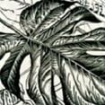 thumbnail image 6 of BANET  Tropical Tablecloth Round Summer Palm Leaf Table Cloth Waterproof Resistant Green Tablecloths Decoration for Kitchen Dining Room Indoor Party Picnic Holiday Home Decor 31"-35, 6 of 8