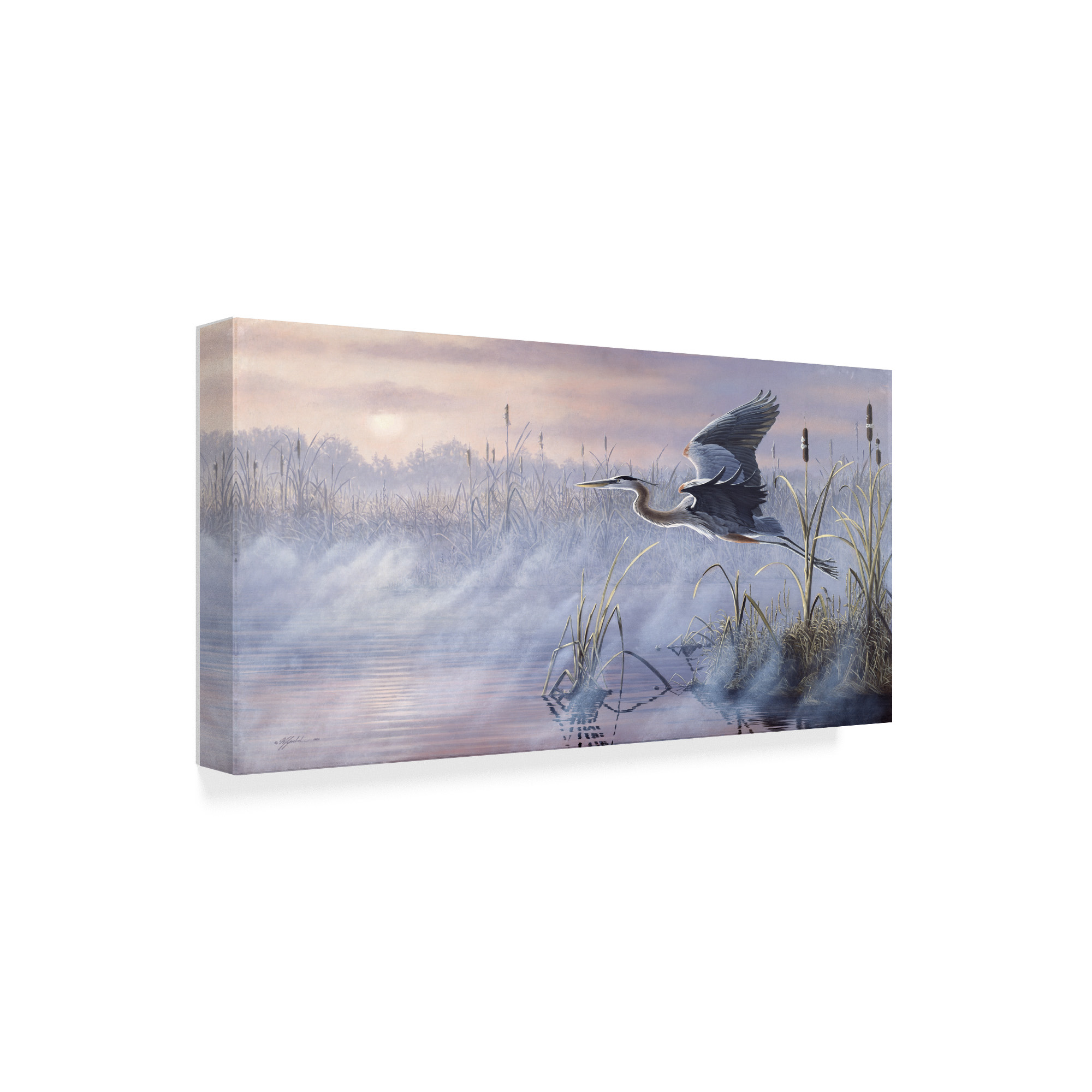 Trademark Fine Art 'Rising Marsh' Canvas Art by Wilhelm Goebel