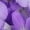 Purple, variant on Sweaters for Women Suitable Fall and Winter Comfortable and resistant to pilling Yellow XL Womens Sweaters