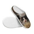 thumbnail image 3 of Lsque Cat Family Pattern Womens Comfort Cotton on Scuff With Memory Foam and Anti-skid Sole Slipper-40/41, 3 of 7