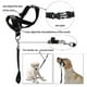 thumbnail image 5 of Halti Head Collar Dog Training Obedience Stop Pulling On Lead No Pull Solutionl, 5 of 5