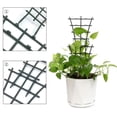 thumbnail image 4 of Wosthever Soporte para plantas DIY de 6 piezas para una protección eficaz de las plantas, adecuado para varias plantas, soporte resistente Jardín y Patio, 4 of 6