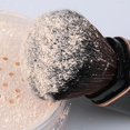 thumbnail image 6 of Professional Retractable Makeup Brush, Soft Small Face Blush Brush for Contouring Highlighter Bronzer Blush Loose, 6 of 10