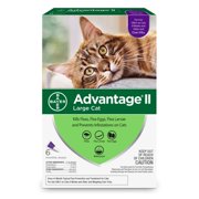 (2 pack) (2 Pack) Advantage II Flea Treatment for Large Cats, 6 Monthly Treatments