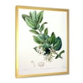 thumbnail image 2 of Designart 'Ancient Botanicals XX' Traditional Framed Art Print, 2 of 4