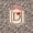Brown Red D, variant on Castle Fairy Leopard Print Letter Initial Quilt Full for Girls,Red Bow Print Full Bedspread Sets