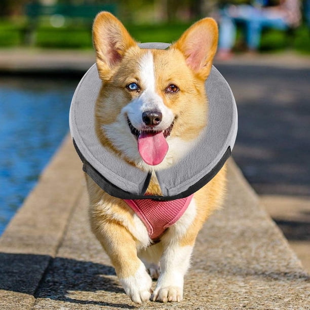 Collar inflable protector, cono inflable cómodo para perros y gatos, cono suave para perros después de la cirugía, collar de recuperación para mascotas que evita que los perros muerdan y arañen