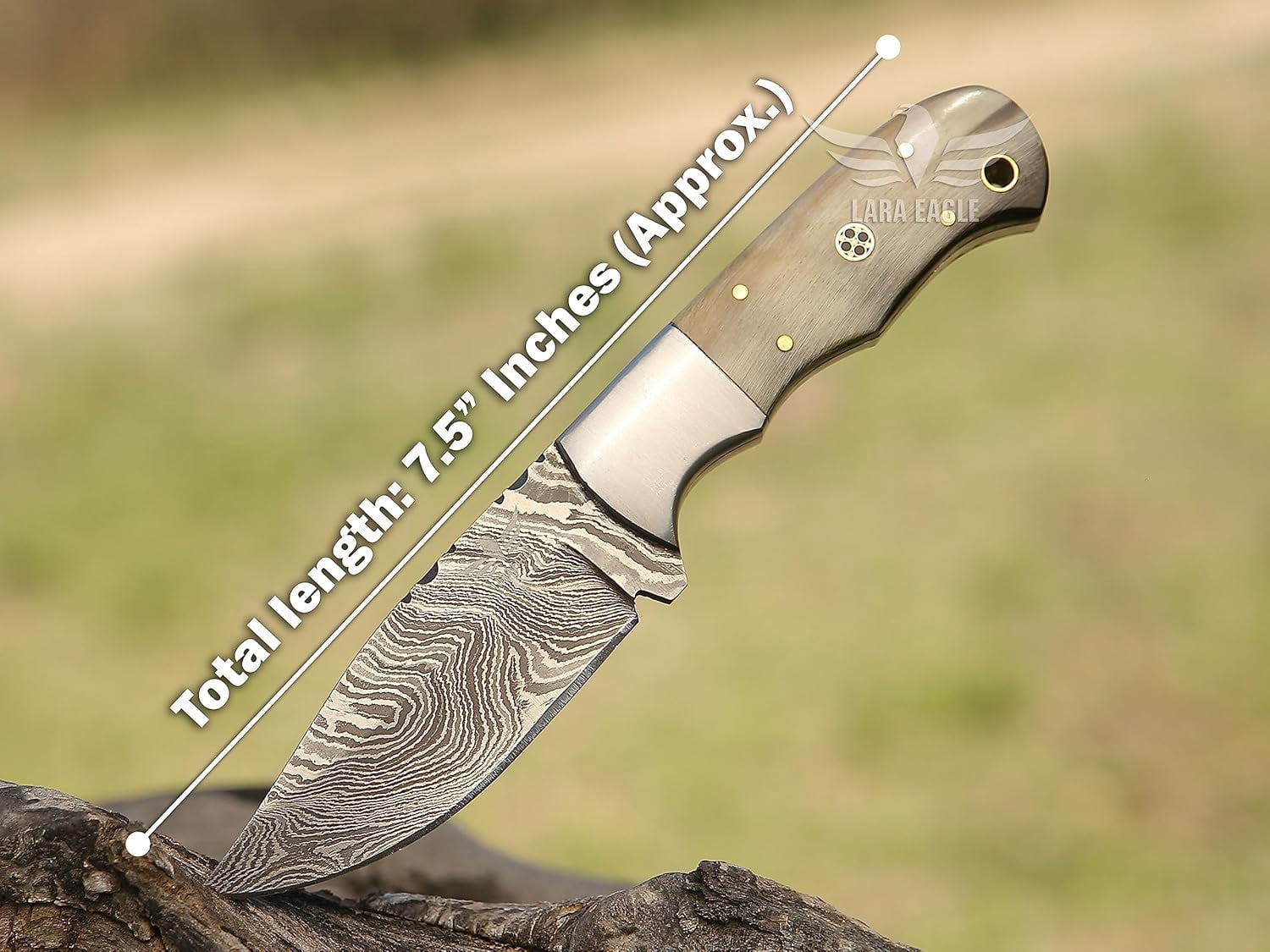 Lara Eagle Damascus Hunting Knife - Fixed Blade Handmade Skinner with Sheath - 7.5 inch Survival Knife Great for Camping - Camel bone Handle with mosaic pin