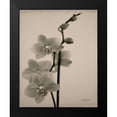 thumbnail image 2 of Stimson, Diane 20x24 Black Modern Framed Museum Art Print Titled - Orchid 1, 2 of 5