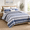 01-1 Blue/Gray-Twin(68"x86"), variant on 01-1 Blue/Gray Oversized Cal King (118"x106") Striped Floral Cotton Quilt Set