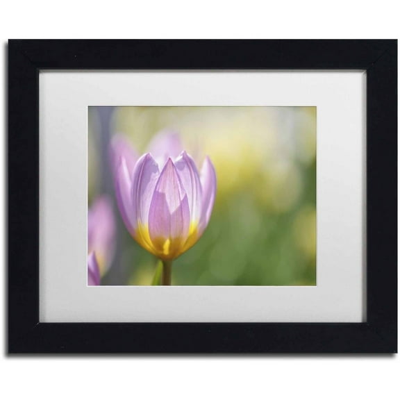 Trademark Fine Art 'Tulip ?Lilac Wonder'' Canvas Art by Cora Niele, White Matte, Black Frame