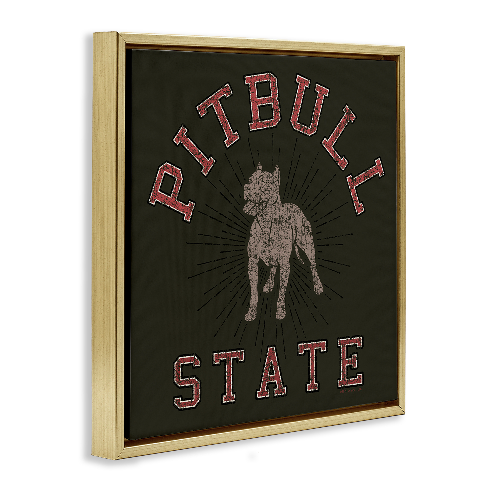 Stupell Industries Vintage Pitbull State Novelty & Humor Painting Gold Floater Framed Canvas Art Print Wall Art, 25 x 25