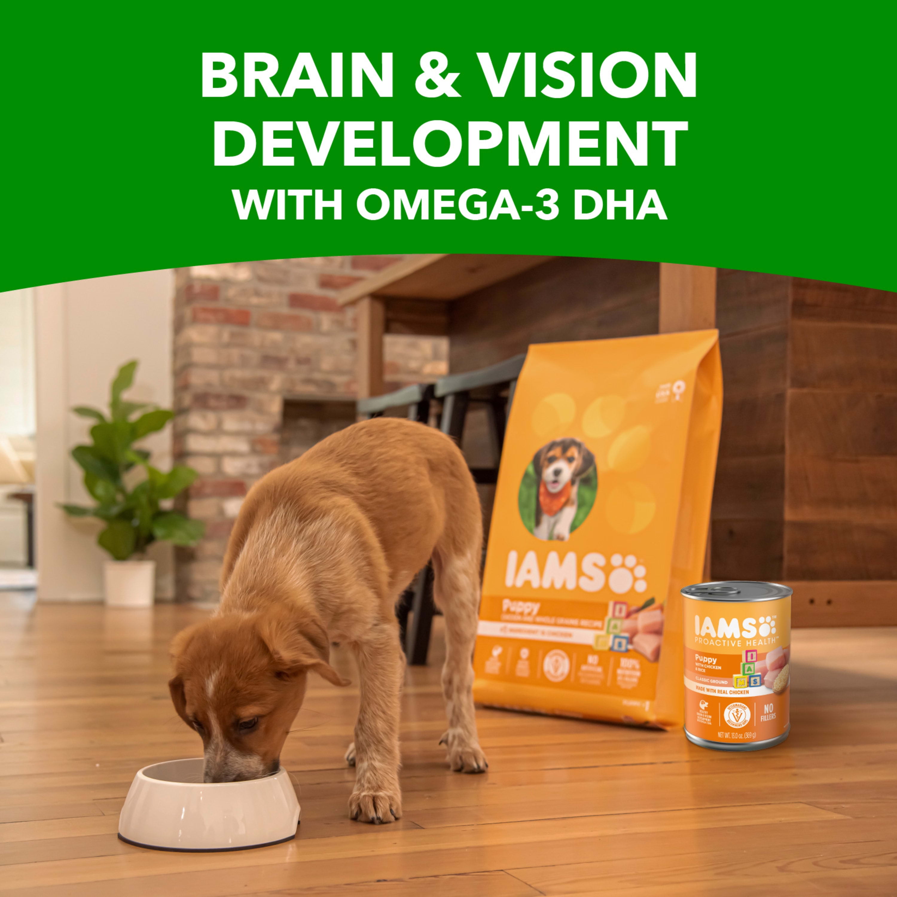 Walmart iams canned dog food cheap